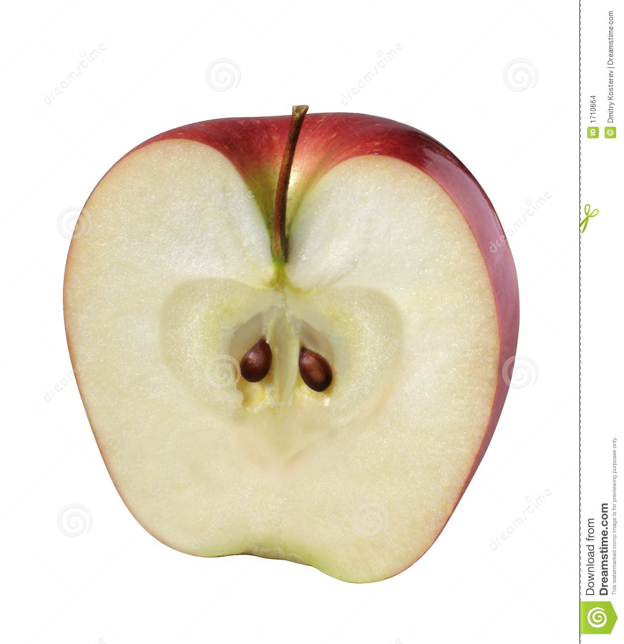 Apple  Half  Stock Images   Image  1710664