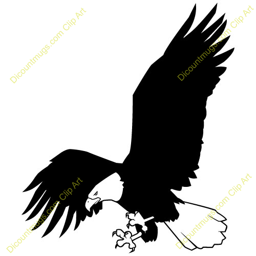 Eagle Feather Clipart