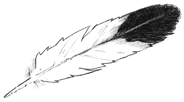 Eagle Feather Designs Eagle Feather Logo