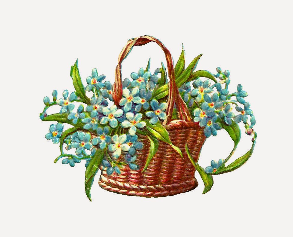 Flower Graphic  Antique Wicker Flower Basket Of Forget Me Not Flowers