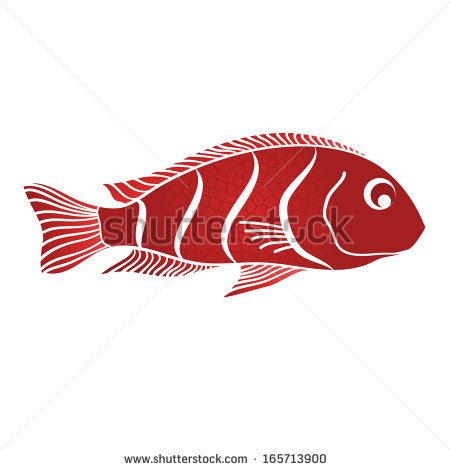 Red Drum Fish Clipart Red Ornamental Fish   Stock