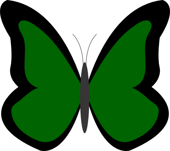 Butterfly Color Clipart   Clipart Best