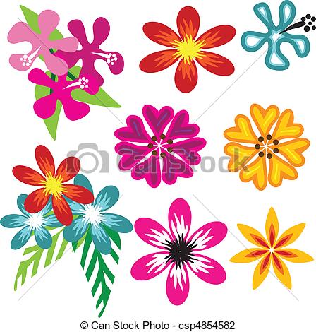 Hawaiian Flowers   A Set Of Beautiful    Csp4854582   Search Clipart