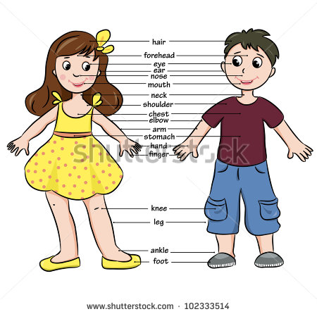 Cartoon Boy And Girl  Vocabulary Of Body Parts  Vector Illustration