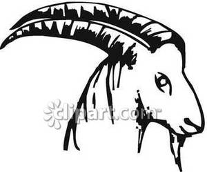 Goat Clipart Black And White Black And White Goat Head With Long Horns