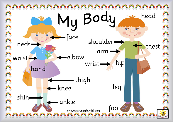 My Body  A4 Poster Pointing Out Parts Of The Body  Click On The Image