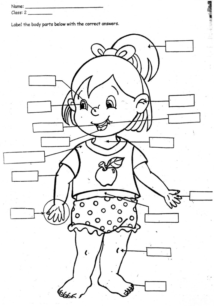 Print Body Parts Coloring Pages For Kids   Laptopezine 
