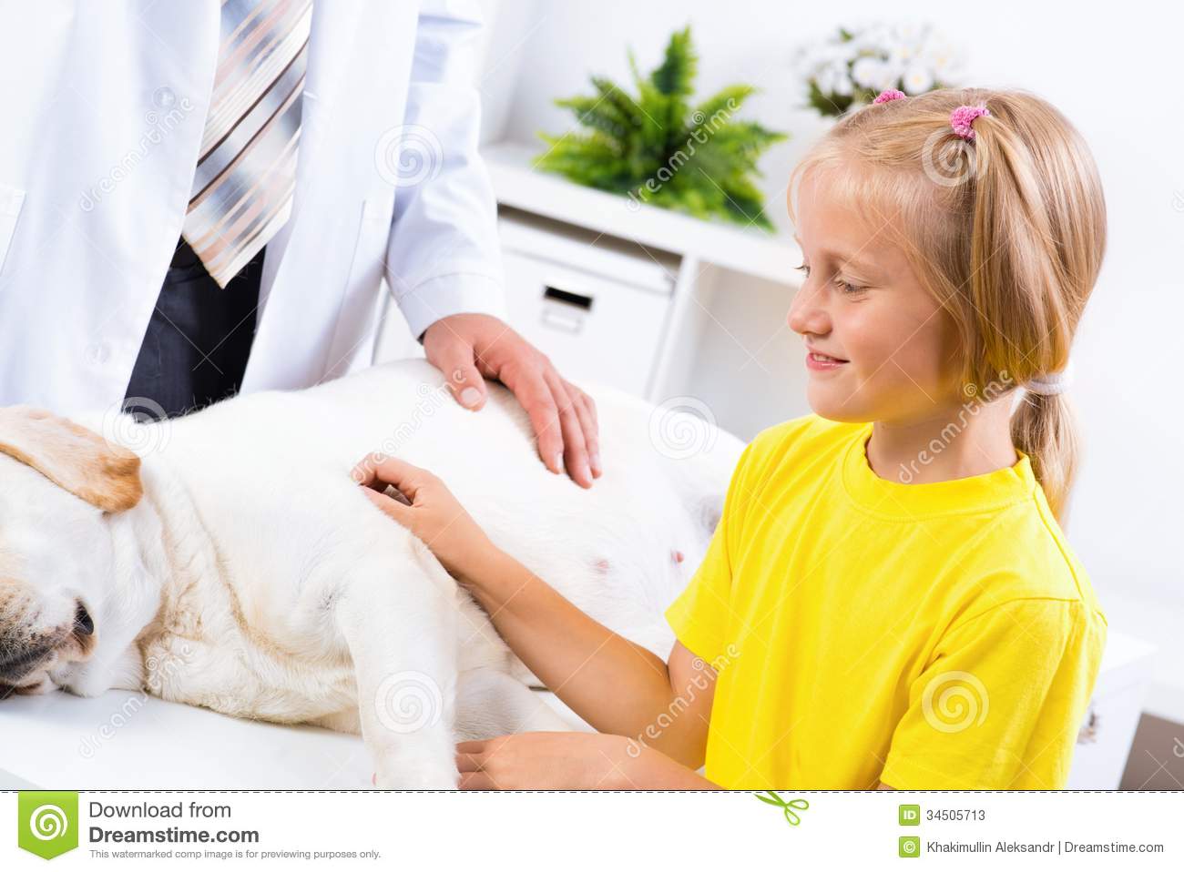 Girl Holds A Dog In A Veterinary Clinic Stock Photos   Image  34505713