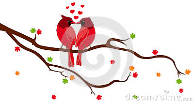 Love Birds On Tree Branch Royalty Free Stock Photo   Image  28727095