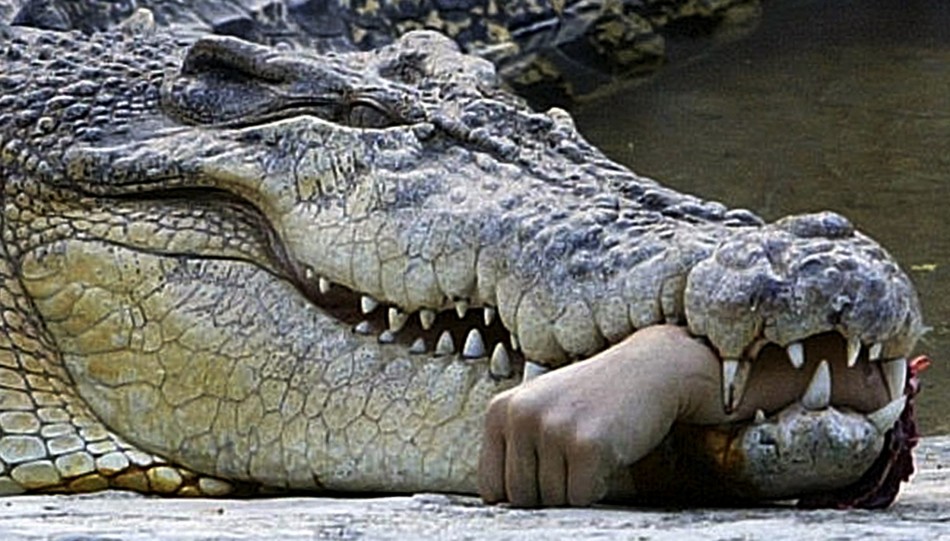 Thai Woman Feeds Herself To Crocodiles In Apparent Suicide