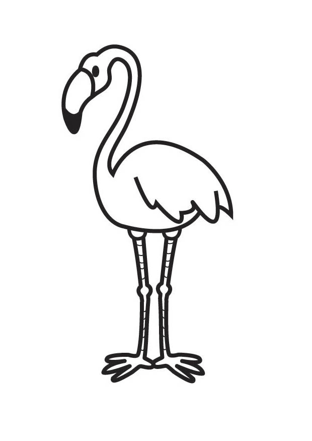 Flamingo Coloring Pages   Clipart Panda   Free Clipart Images
