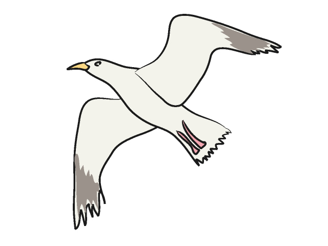 04 Seagull   Free Animal Clip Art   Image Processing Ok   Royalty Free    