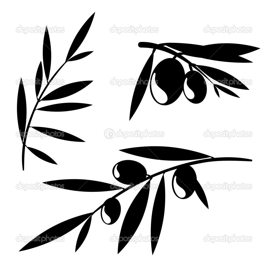 Graphic Olive Tree Branches   Stock Vector   Werta W  12902001