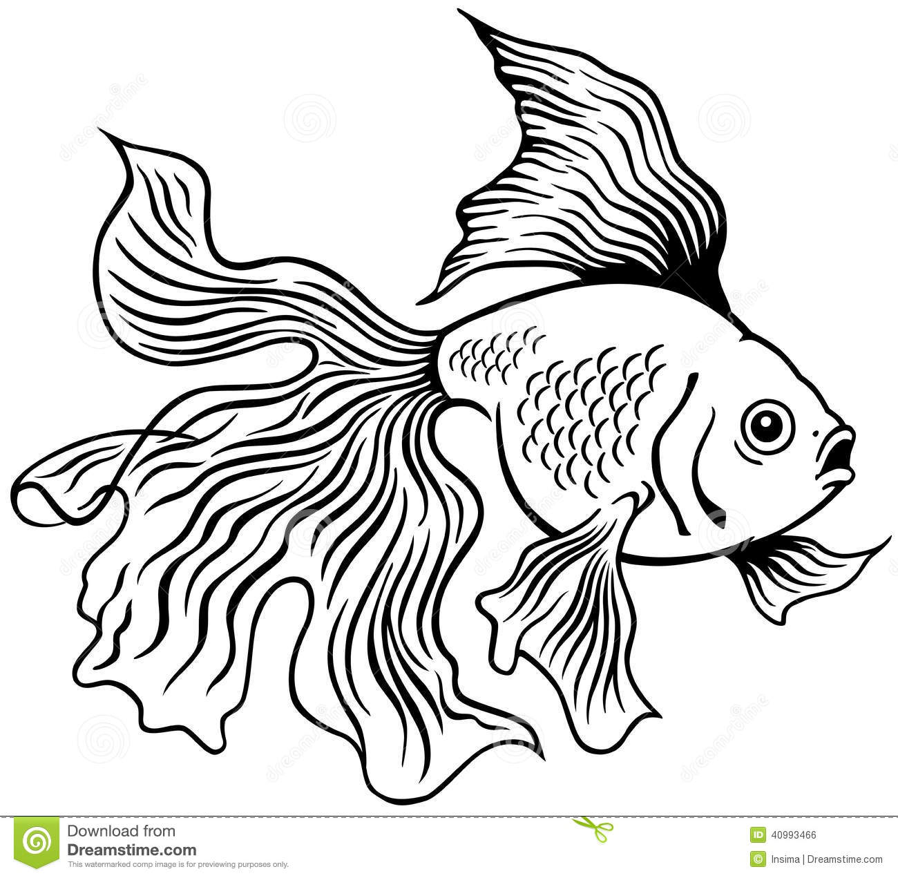 Goldfish Or Golden Fish Black And White Side View Outline Image 