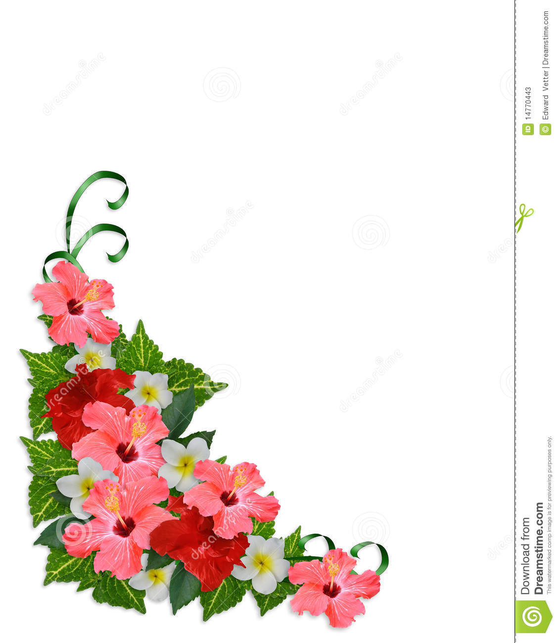 Image And Illustration Composition Of Tropical Flowers Hibiscus