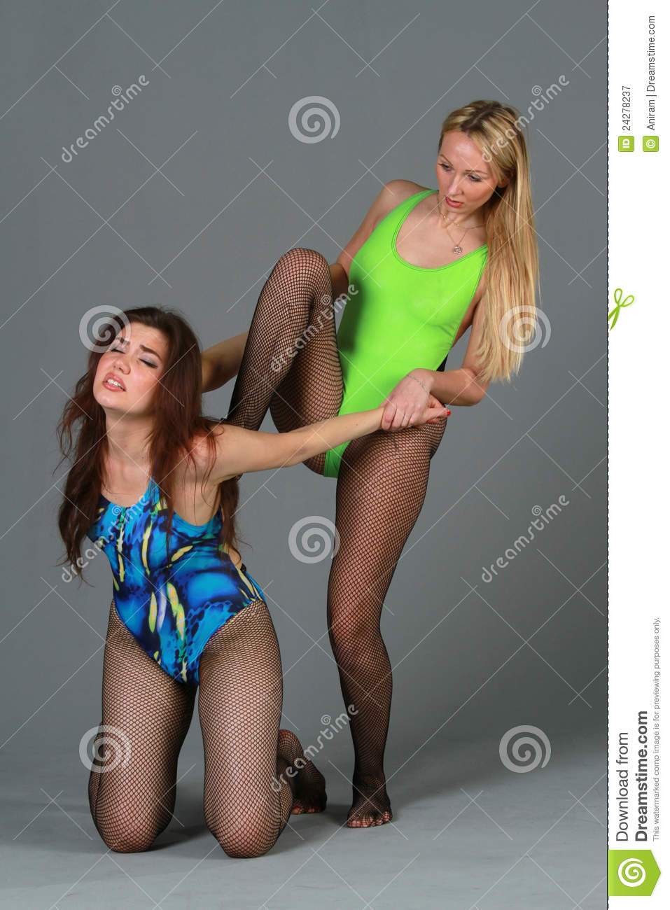Women Fighting Royalty Free Stock Photography   Image  24278237