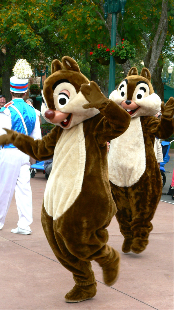 Chip And Dale Dancer Wallpaper The Chip And Dale Dancers By