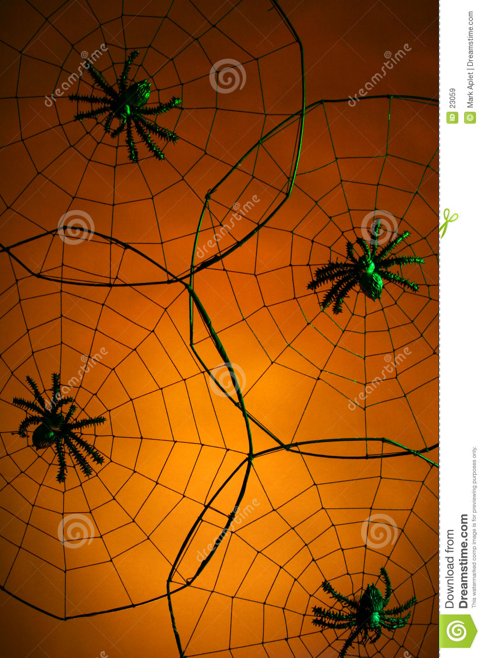 Creepy Spiders Royalty Free Stock Images   Image  23059
