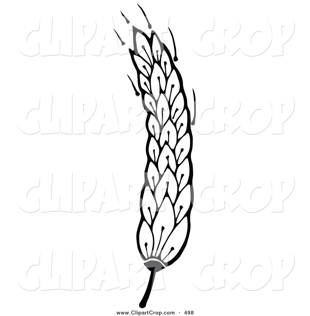 Displaying 19  Images For   Wheat Clip Art Black And White