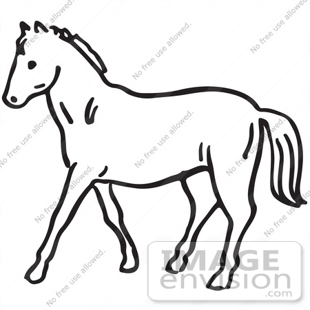 Horse Clipart Black And White Black And White Horse Clipart 2 Jpg