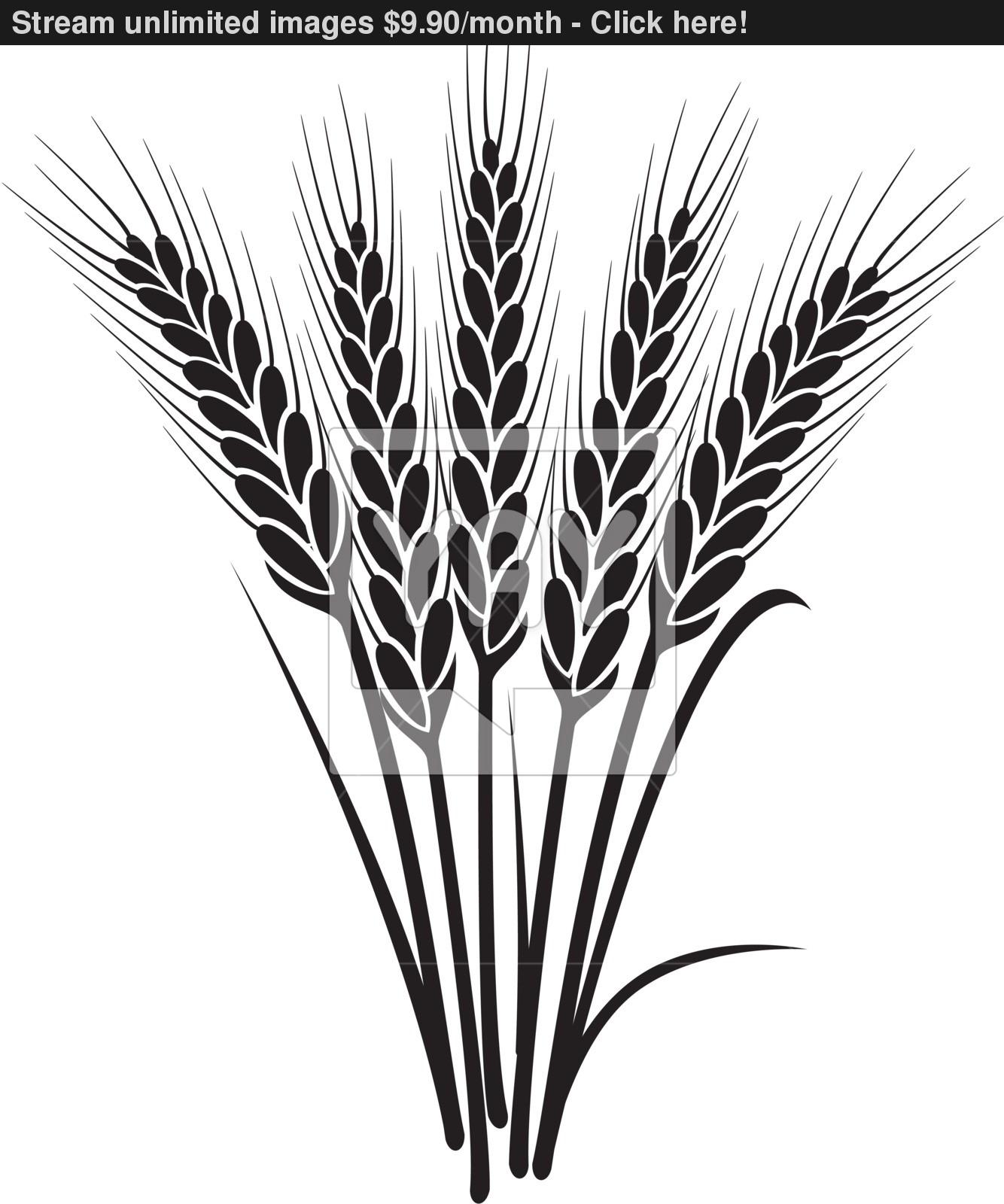 Wheat Clipart Black And White Wheat Stalk Vector Wheat Stalk Field Of