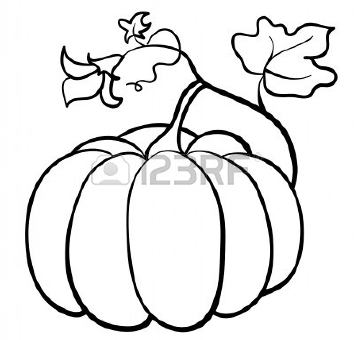 Black And White Pumpkin Clipart 10672836 Pumpkin Vegetable On White
