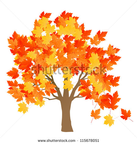 Maple Tree Autumn Leaves Background Vector   115678051   Shutterstock