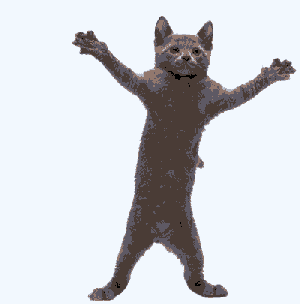 Crazy Cat Dancing While Listening To Stray Cat Strut