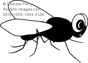 Clip Art Image Of A Cartoon House Fly In Black And White   Acclaim    