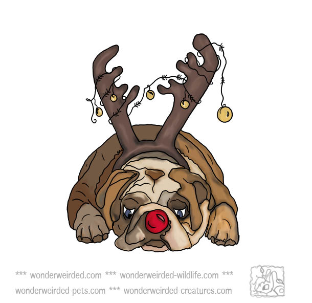 Dog Christmas Clipart Bull Dog Picturesecho S Original Dog Christmas