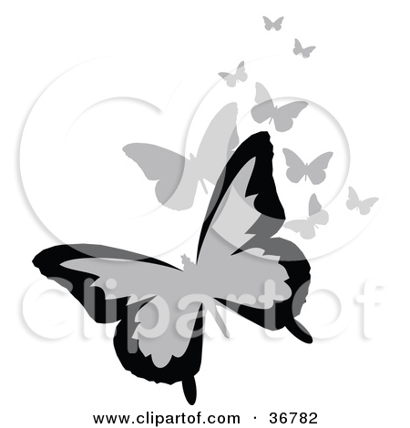 Royalty Free Illustrations Of Butterflies By Onfocusmedia  1