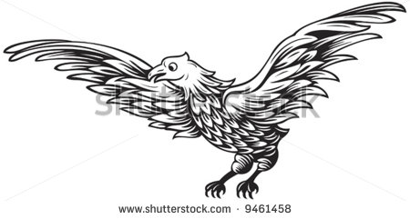 Black And White Drawing Of Flying Eagle Stock Vector Illustration