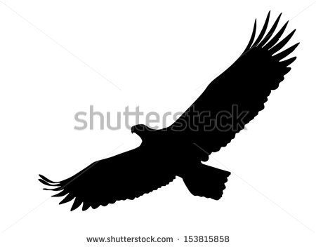 Eagle Soaring With Wings Opened Wide    Stock Vector