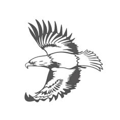 Eagles On Pinterest   Eagle Tattoos Eagle Wing Tattoos And Wings