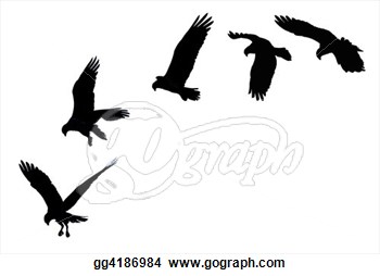 Showing A Bird Of Prey Soaring And Striking   Clip Art Gg4186984