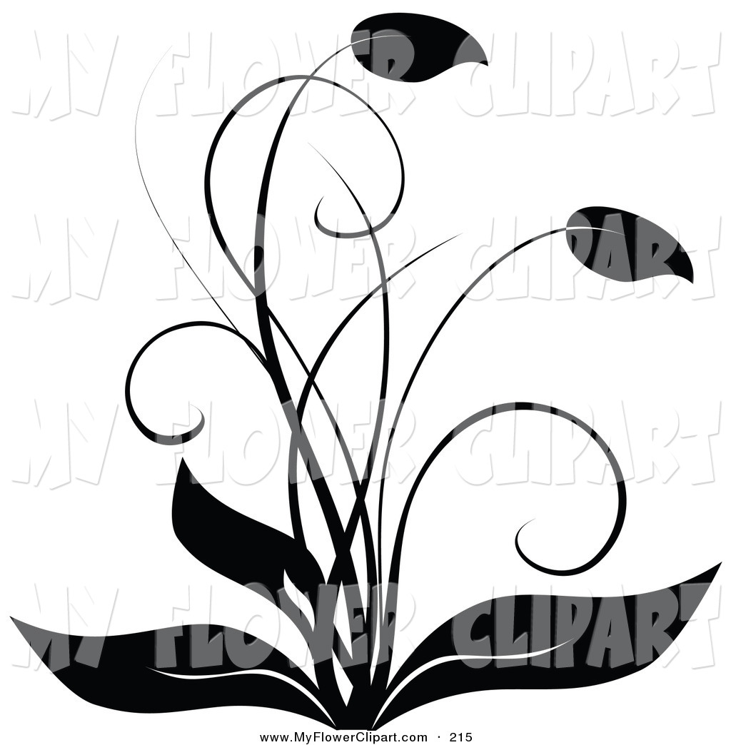 Black And White Birthday Clip Art Free Black And White Flower Clip