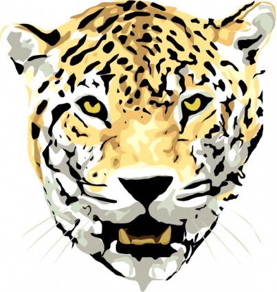 Cartoon Wild Jaguar Animal Jungle       Clipart Best   Clipart Best