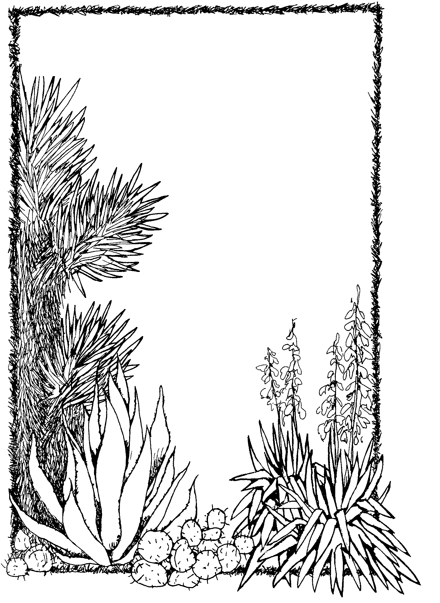 Vegetable Plant Clipart Black And White Cg Desert Plants Gif
