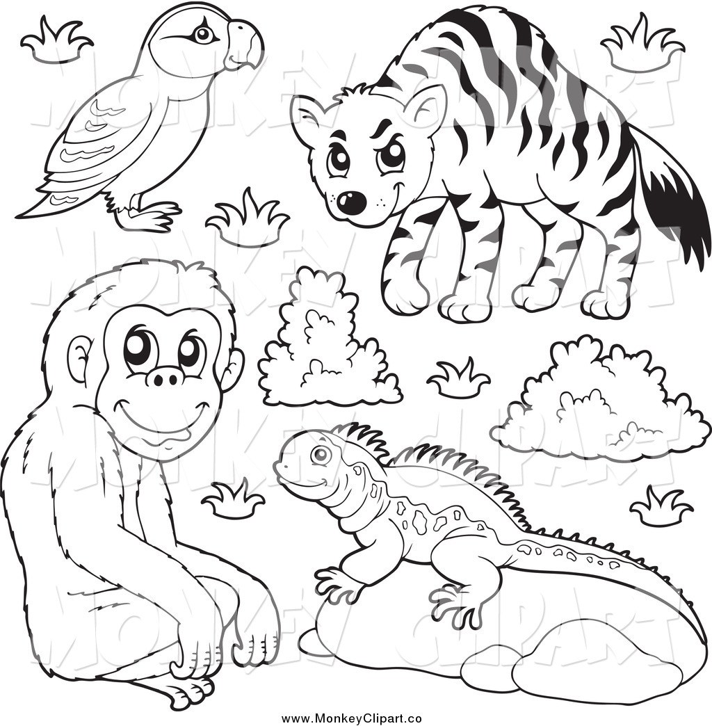 Clip Art Of A Black And White Puffin Monkey Lizard And Hyena Zoo