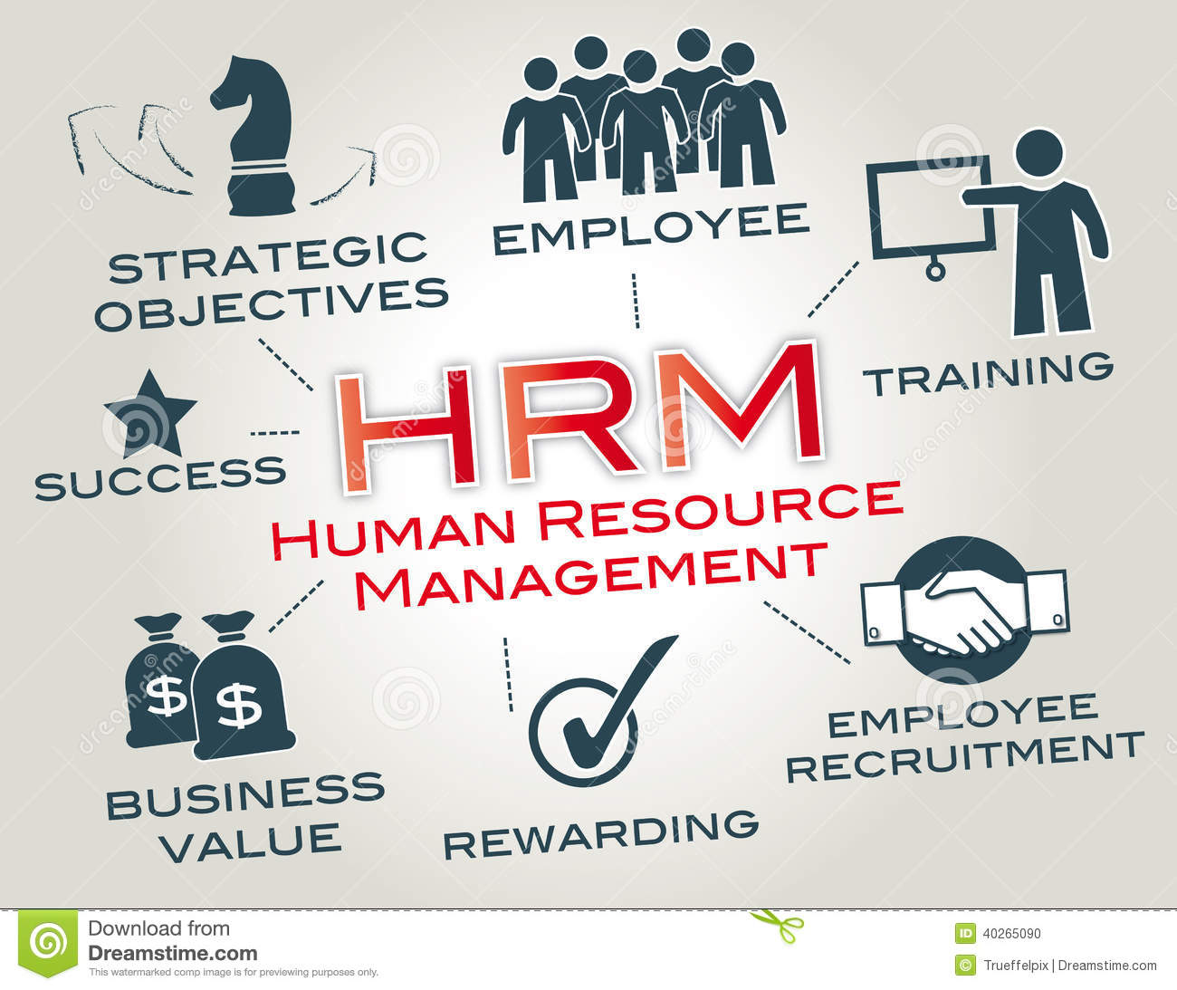 Human Resource Management Is A Function In Organizations Designed To