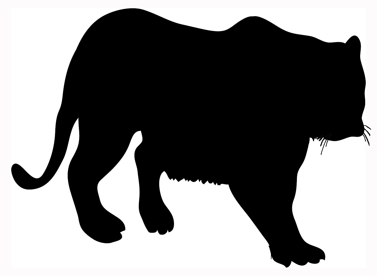 Tiger Silhouette Http Www Funny Clip Art Cool Drawings Com Animal