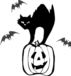 And White Black Cat Carved Pumpkin  Flying Bat Halloween Black Cat
