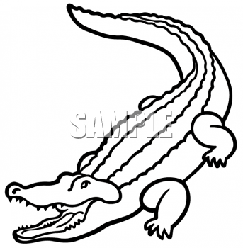 Animal Images Animal Clipart Net Clipart Of An Outline Of An Alligator