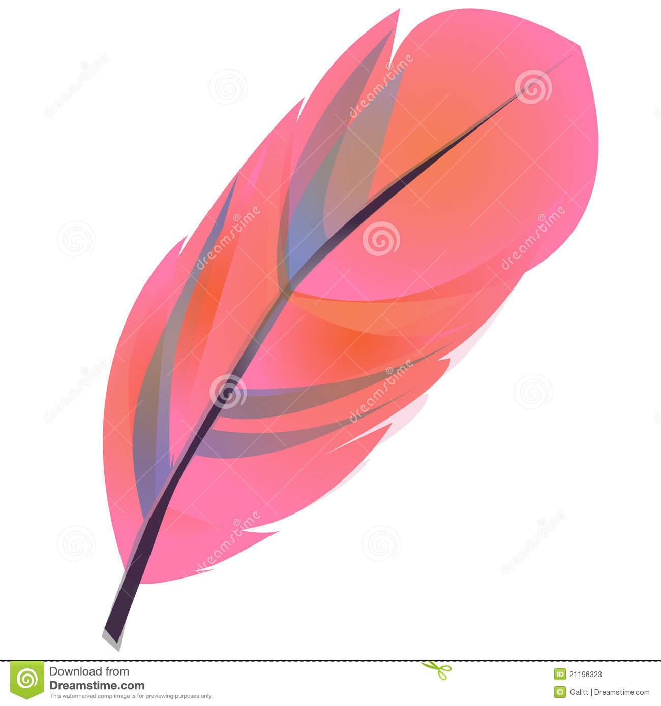 Feather Clipart Stock Photos   Image  21196323