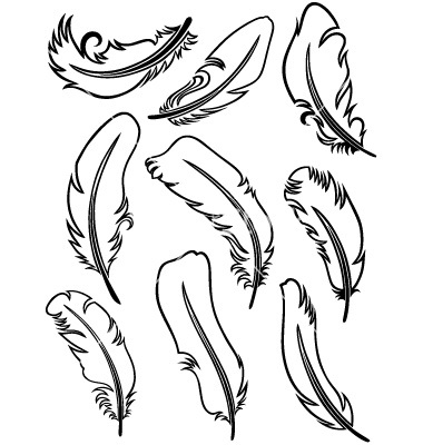 Feather Outline Clipart Feather Outline Template