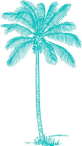 Palm Tree Clip Art At Clker Com   Vector Clip Art Online Royalty Free