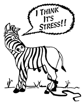 Zebra Stressed Out Koozies Clip Art Animal Design Zebra Stress