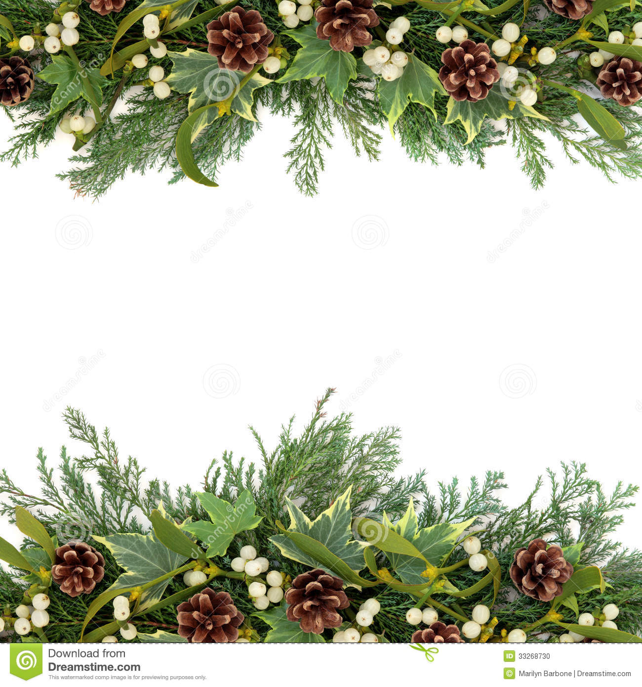 Christmas Floral Background Border With Mistletoe Ivy Pine Cones And