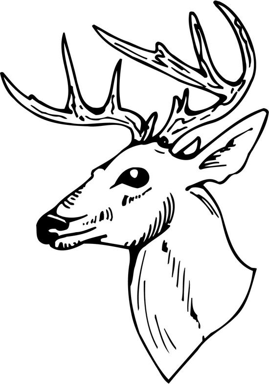 Deer Head Clipart Black And White   Clipart Panda   Free Clipart