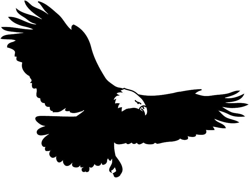 Black And White Silhouette Of Eagle Bald Eagle Silhouette